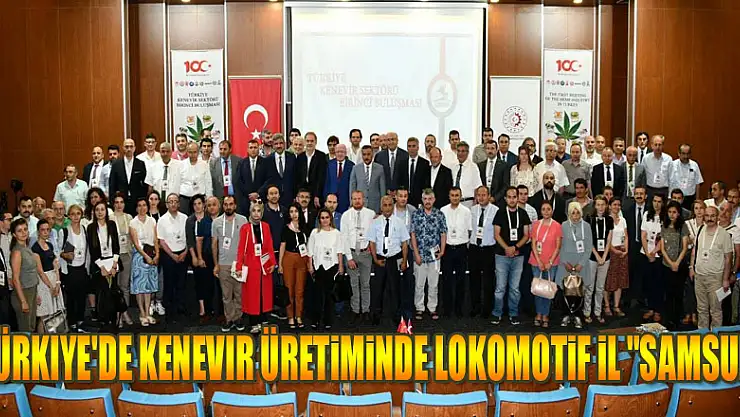 Türkiye'de kenevir üretiminde lokomotif il 'Samsun' 