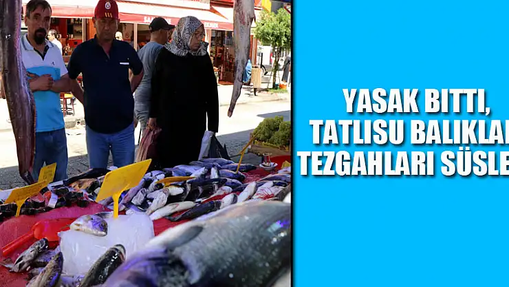 Yasak bitti, tatlısu balıkları tezgahları süsledi 