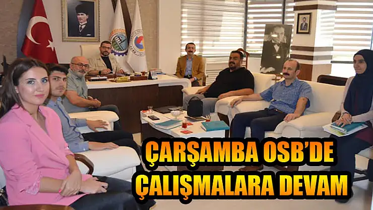 Çarşamba OSB'de çalışmalara devam