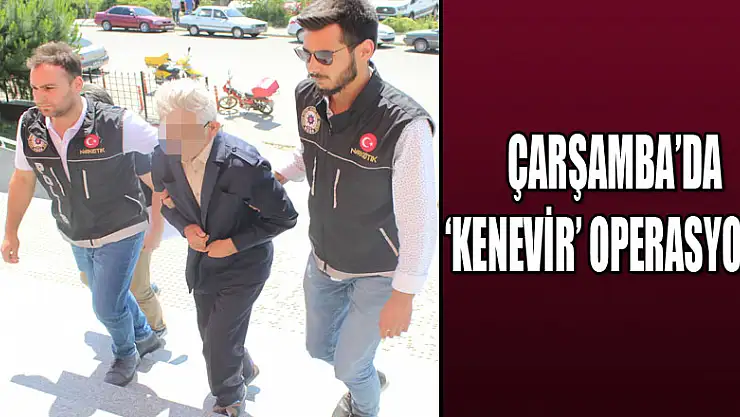 Çarşamba'da 'kenevir' operasyonu 