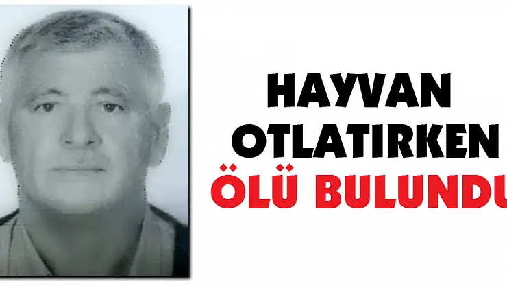 Hayvan otlatırken ölü bulundu