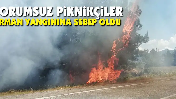 Sorumsuz piknikçiler orman yangınına sebep oldu