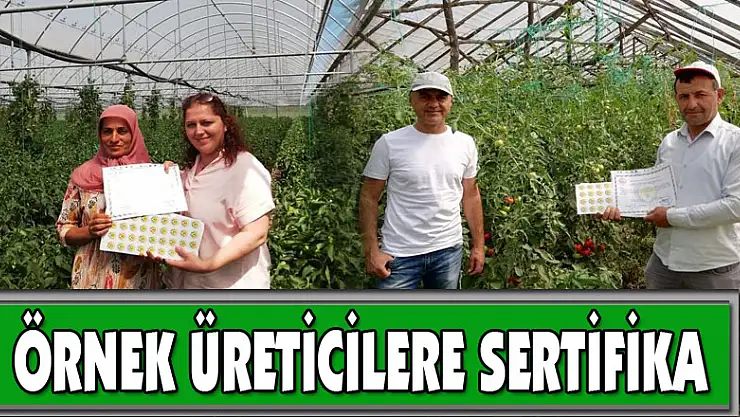 Örnek üreticilere sertifika   