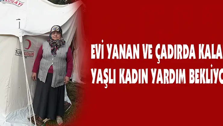 Evi yanan ve çadırda kalan yaşlı kadın yardım bekliyor   