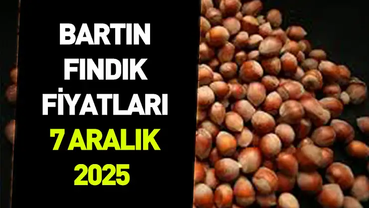 7 Aralık 2025 Bartın Fındık Fiyatı | Piyasa Dar Bantta Seyrediyor