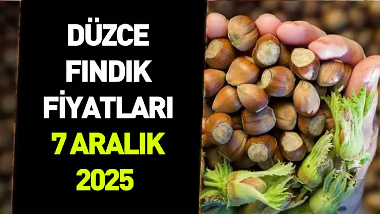 7 Aralık 2025 Düzce Fındık Fiyatı | Piyasa Dengeli Seyrini Koruyor