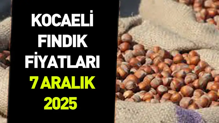 7 Aralık 2025 Kocaeli Fındık Fiyatları | Piyasa Üst Bantta Seyrini Koruyor