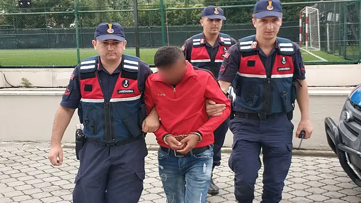 Tırların dorselerindeki soğutucu kartlarını çaldı 