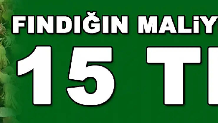 Fındığın maliyeti 15 TL olarak belirlendi