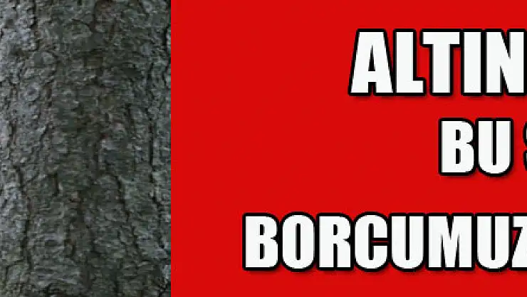 Altın 'eldiven': 'Bu sezon borcumuzu ödeyeceğiz' 