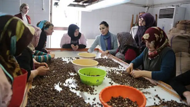 Karaaslan: 'Fındık fiyatları üreticiyi memnun etti'