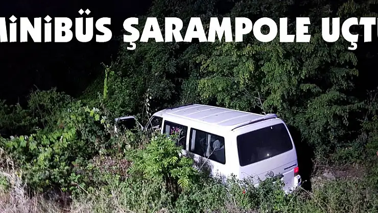 Minibüs şarampole uçtu: 1 yaralı