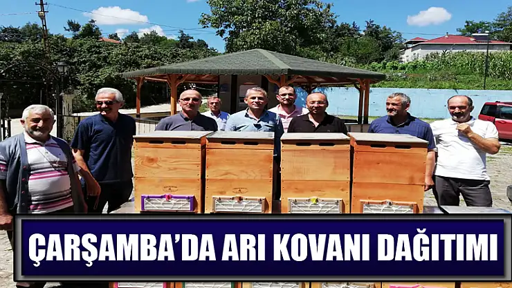 Çarşamba'da arı kovanı dağıtımı   