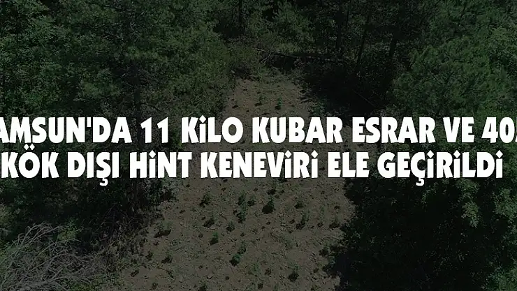 Samsun'da 11 kilo kubar esrar ve 405 kök dişi Hint keneviri ele geçirildi