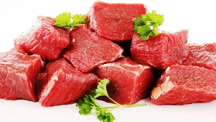 Ay: 'Kurbanlık hayvanlar kesimhanelerde kesilmeli' 