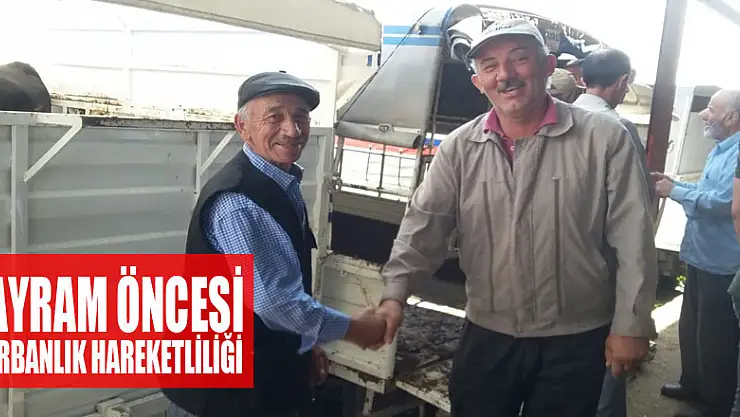 Bayram öncesi kurbanlık hareketliliği