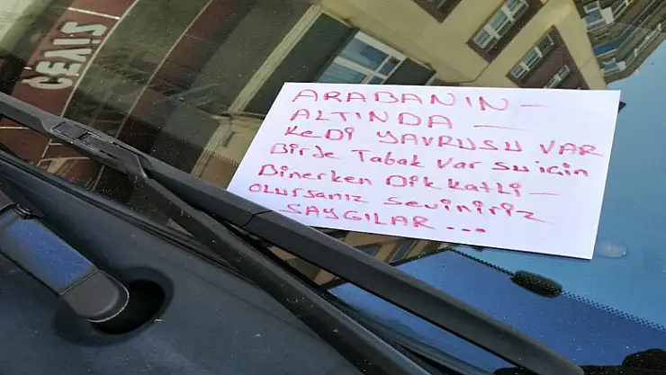 Arabanın altındaki yavru kedi için duygulandıran hareket 