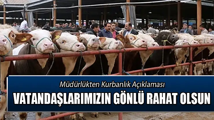 Tarım ve Orman İl Müdürlüğü: 'Vatandaşlarımız gönül rahatlığı ile kurbanlıklarını alabilirler' 