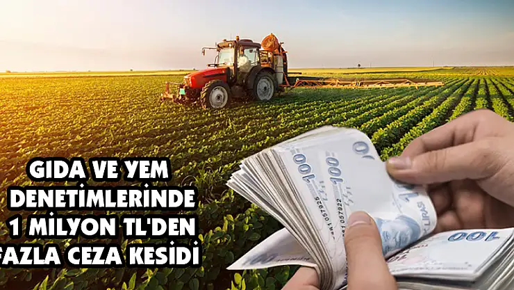 Gıda ve yem denetimlerinde 1 milyon TL'den fazla ceza kesildi 