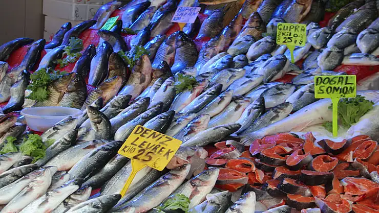 Balıkçılar yeni sezondan umutlu