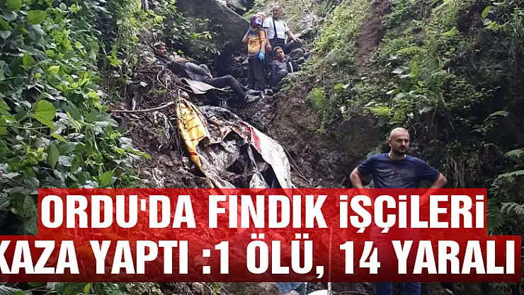 Ordu'da fındık işçileri kaza yaptı :1 ölü, 14 yaralı  