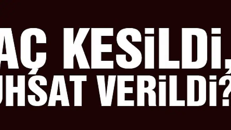 Hancıoğlu: 'Kaç ağaç kesildi, kimlere ruhsat verildi?'