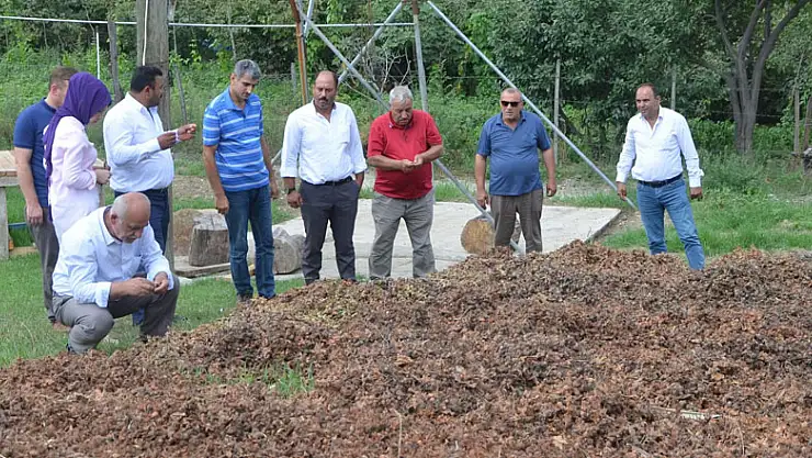 Üreticiler tapusuz fındık alanlarının çözüme kavuşmasını istiyor   