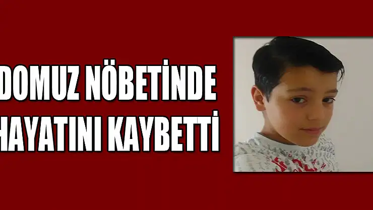 Domuz nöbetinde hayatını kaybetti