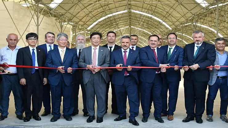 Japonlardan Bafra'ya tarım yatırımı 