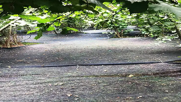 Bu yöntem maliyeti yüzde 70, karı yüzde 3 artırdı