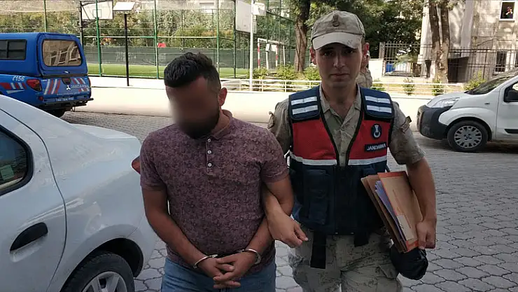 Tarlada dişi Hint keneviri ele geçirildi 