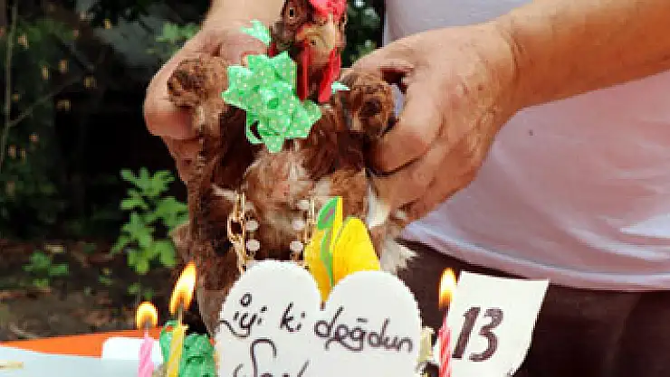 'Şaşkın'a gözyaşı