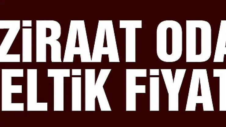 Ziraat odasından çeltik fiyatı talebi  