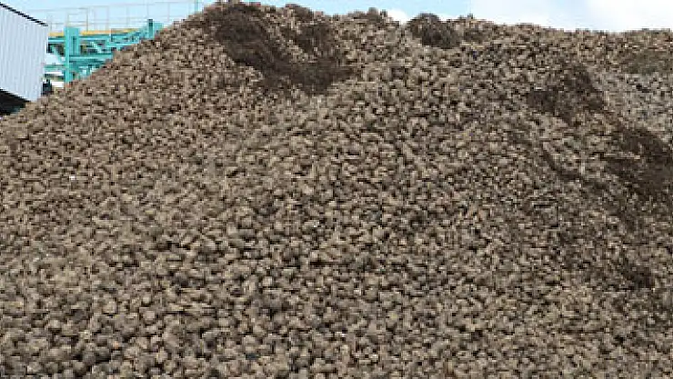 Amasya'da 66. pancar alım kampanyası başladı  