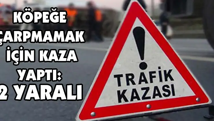 Köpeğe çarpmamak için kaza yaptı: 2 yaralı