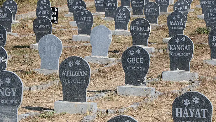 Hayvan Mezarlığı' ile halk sağlığı korunmaya çalışılıyor