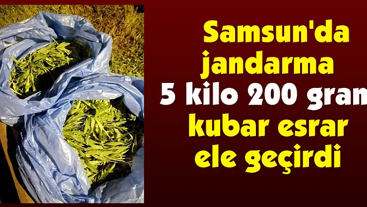  Samsun'da jandarma 5 kilo 200 gram kubar esrar ele geçirdi