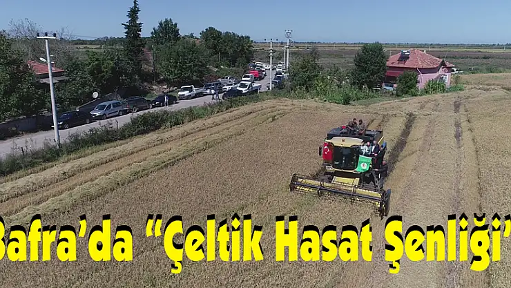 Protokol çeltik hasadında