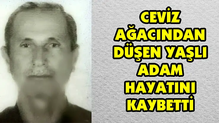 Ceviz ağacından düşen yaşlı adam hayatını kaybetti