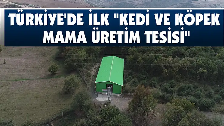 Türkiye'de ilk 'Kedi ve Köpek Mama Üretim Tesisi'