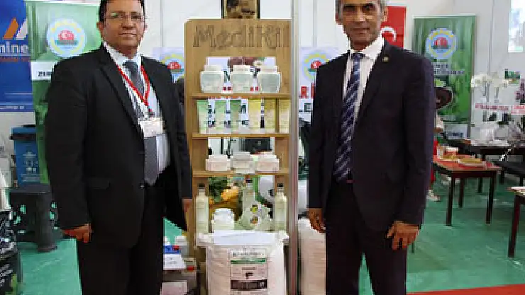 Fındıkta aflatoksin ve küllemeye doğal çözüm: 'Bentonit'