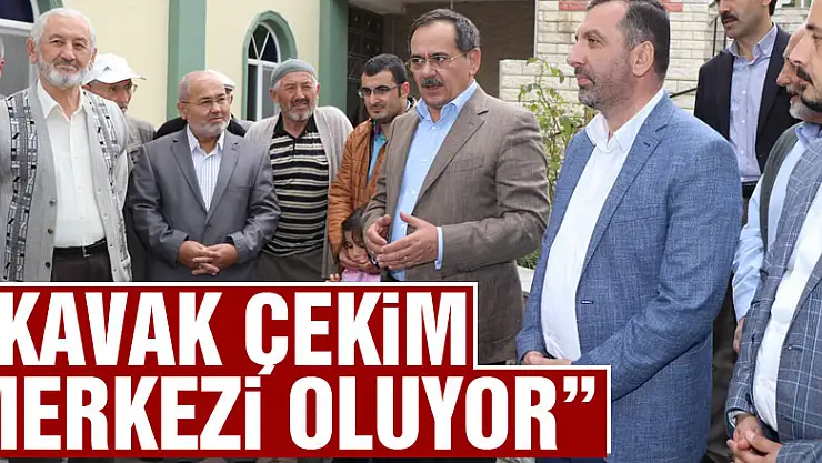 Başkan Demir: 'Kavak çekim merkezi oluyor'