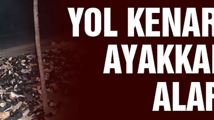 Yol kenarına atılmış ayakkabılar polisi alarma geçirdi