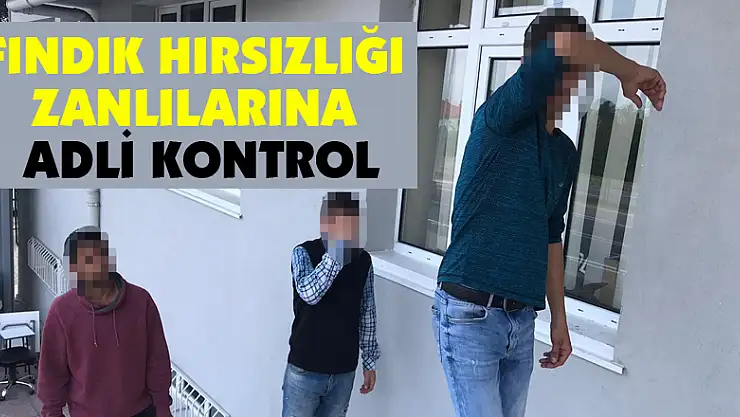 Fındık hırsızlığı zanlılarına adli kontrol