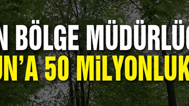 Orman Bölge Müdürlüğünden Samsun'a 50 milyonluk yatırım