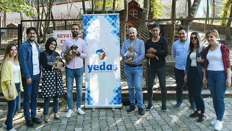  YEDAŞ çalışanları 'barınak'ta