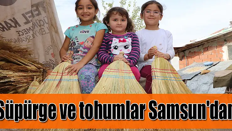 Türkiye'nin el süpürgeleri ve tohumları Samsun'dan