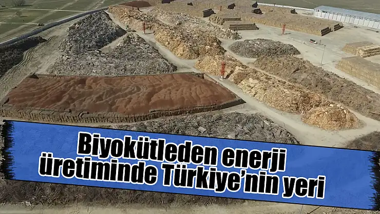 Biyokütleden enerji üretiminde Türkiye'nin yeri