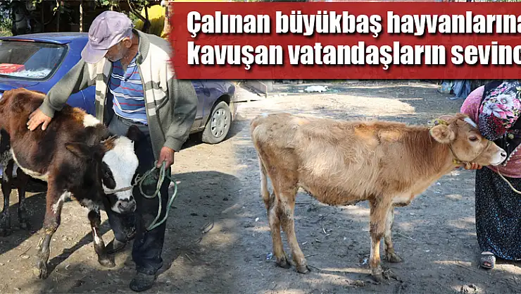 Çalınan büyükbaş hayvanlarına kavuşan vatandaşların sevinci