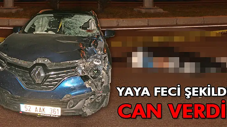 Yaya feci şekilde can verdi